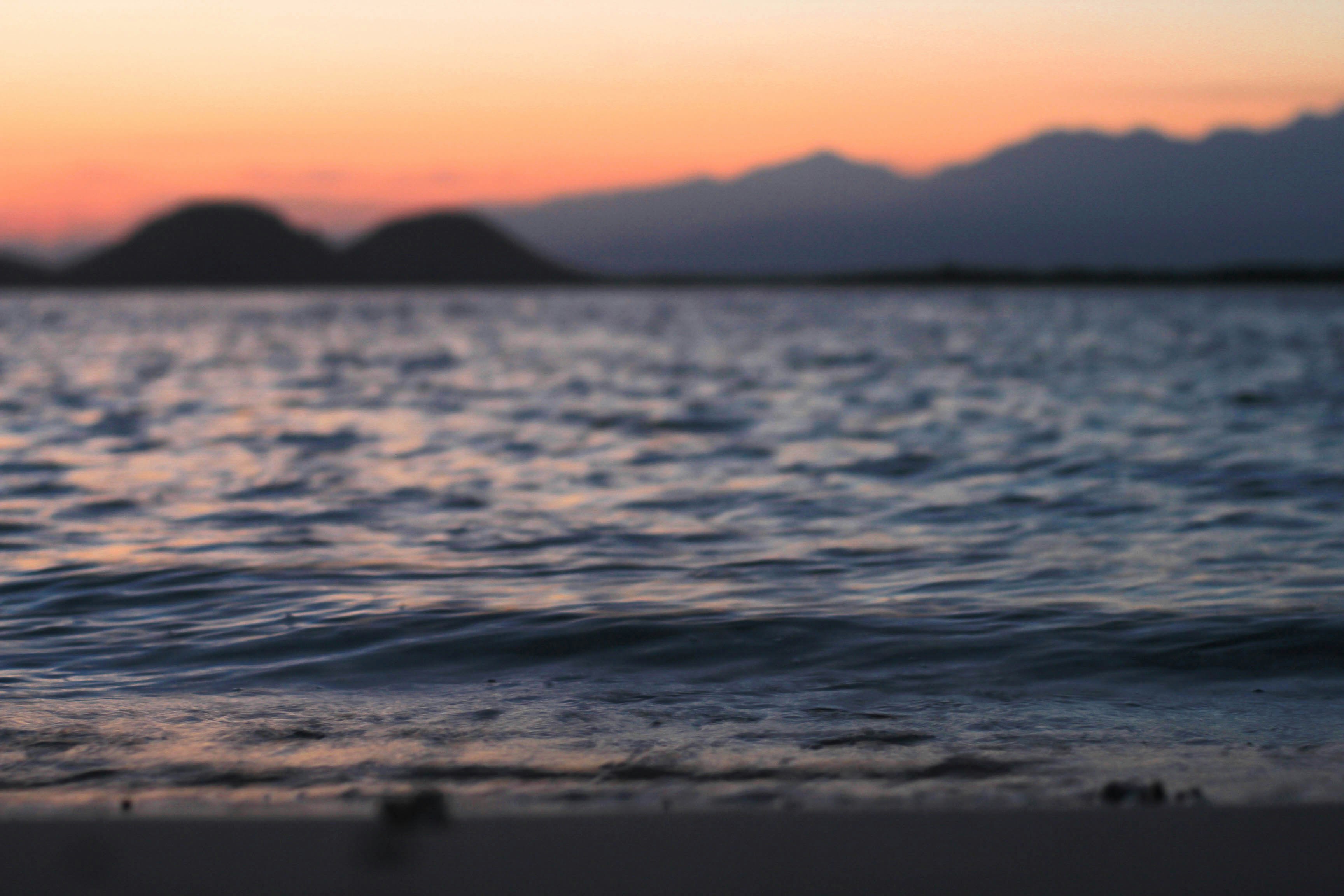 silhouette of person standing on sea shore during sunset